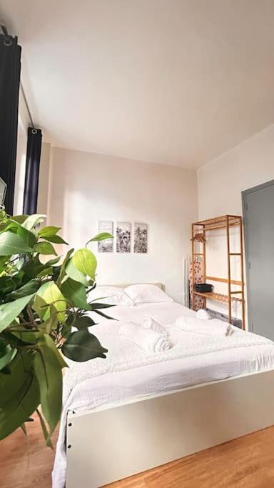 Le Cocon Appartement Montauban